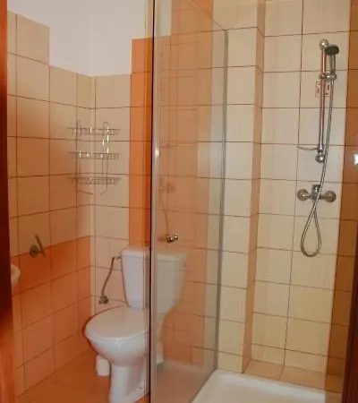 לינה וארוחת בוקר Willa Debki 3*