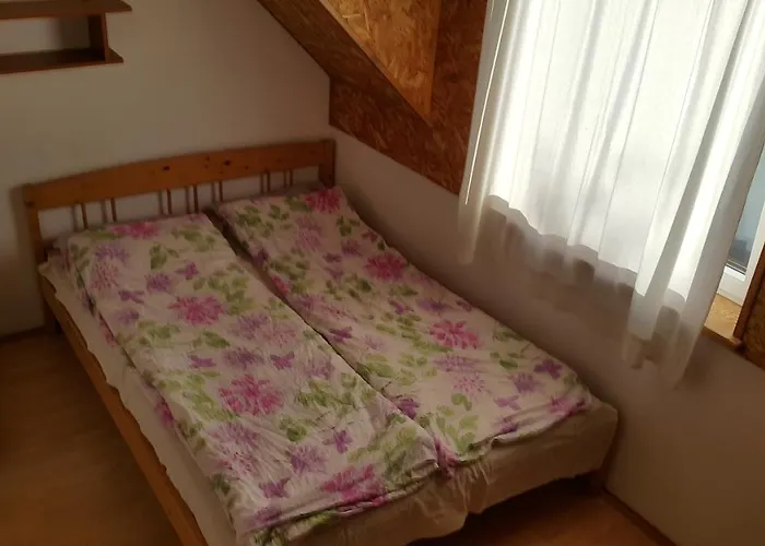 Willa Debki Panzió Dębki